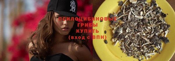 МДПВ Арсеньев